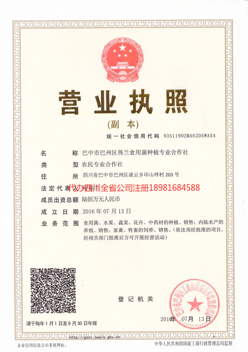 高碑店高碑店伟兰食用菌种植专业合作社